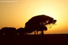 Naturpark Parco Naturale della Maremma