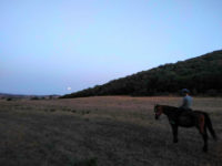 Reiten im Naturpark der Maremma, La Valentina Nuova
