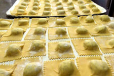 Tortelli maremmani