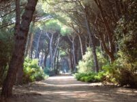 La Feniglia, Maremma, Toskana